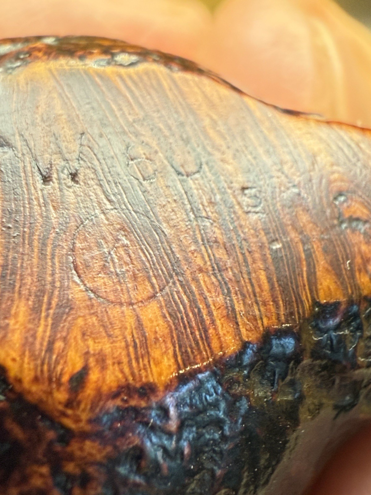 Rare 1965 Dunhill W60 Whangee- Professionally Restored - Image 5