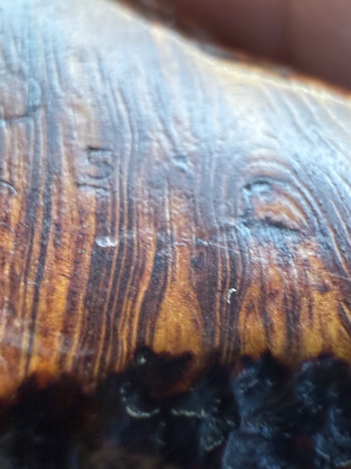 Rare 1965 Dunhill W60 Whangee- Professionally Restored - Image 6